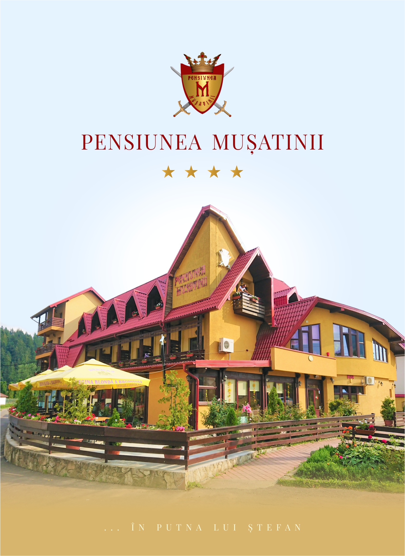 Pensiunea Musatinii  Putna