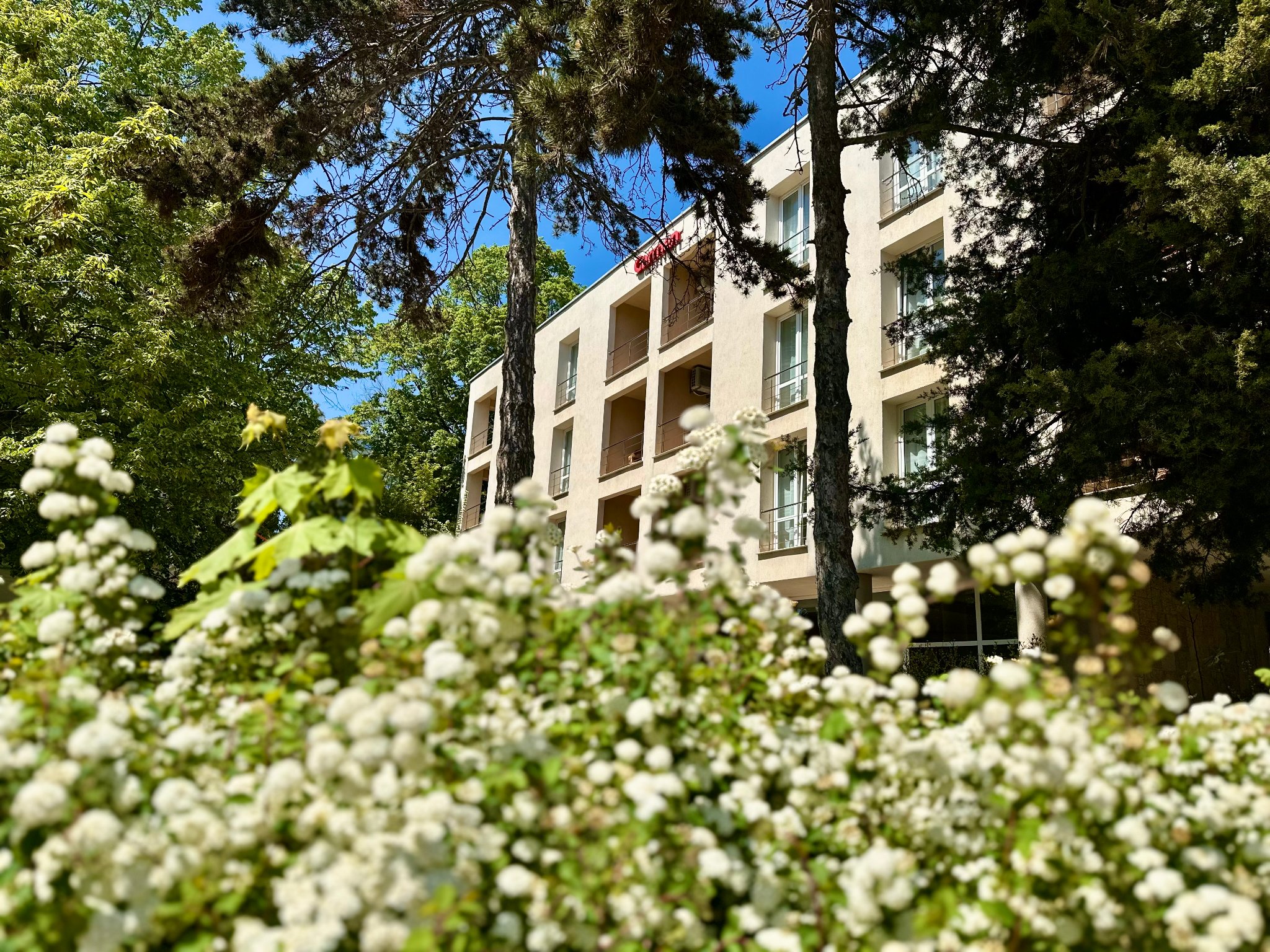 CARMEN HOTEL