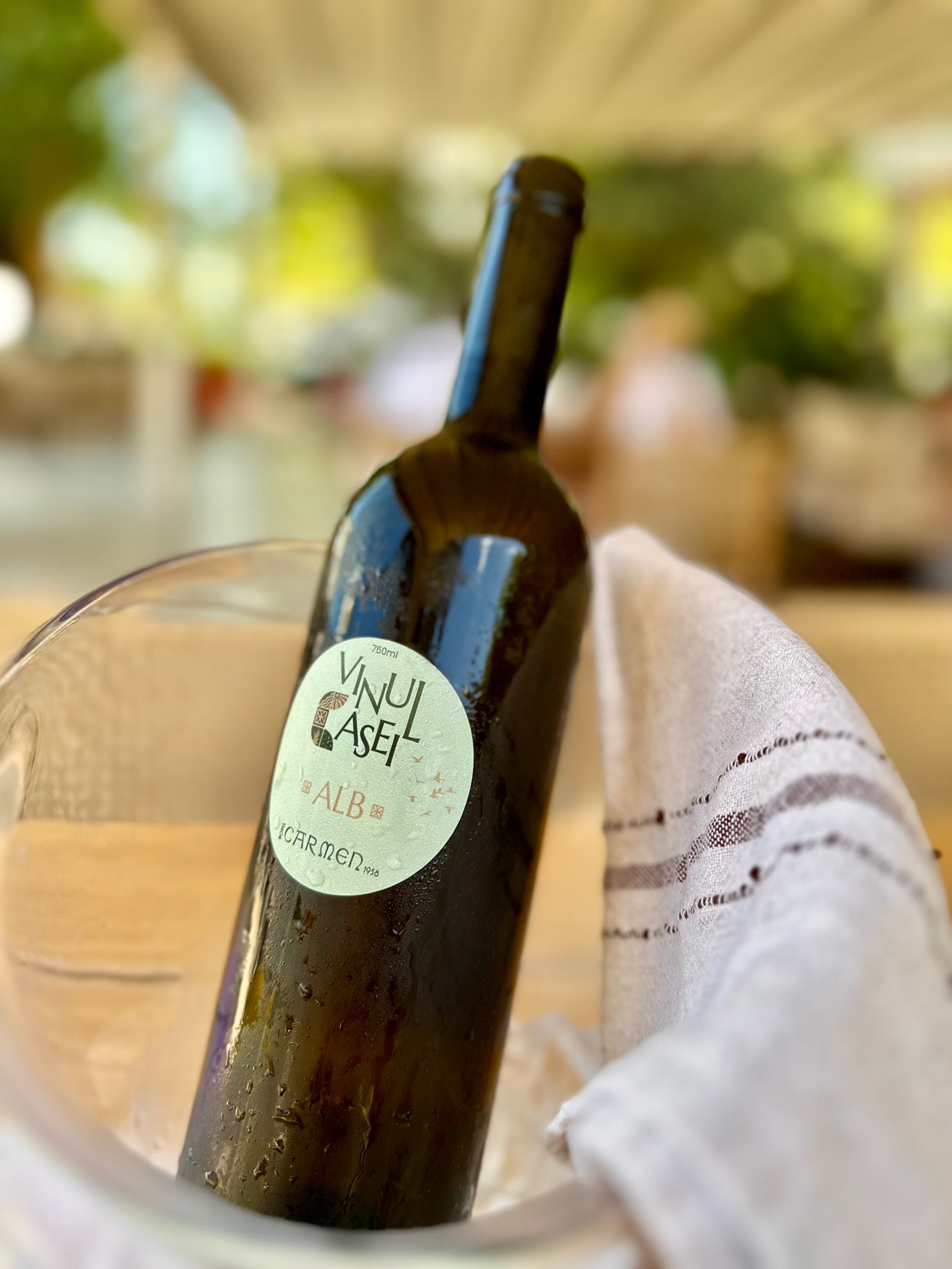 CARMEN HOTEL imagine 3